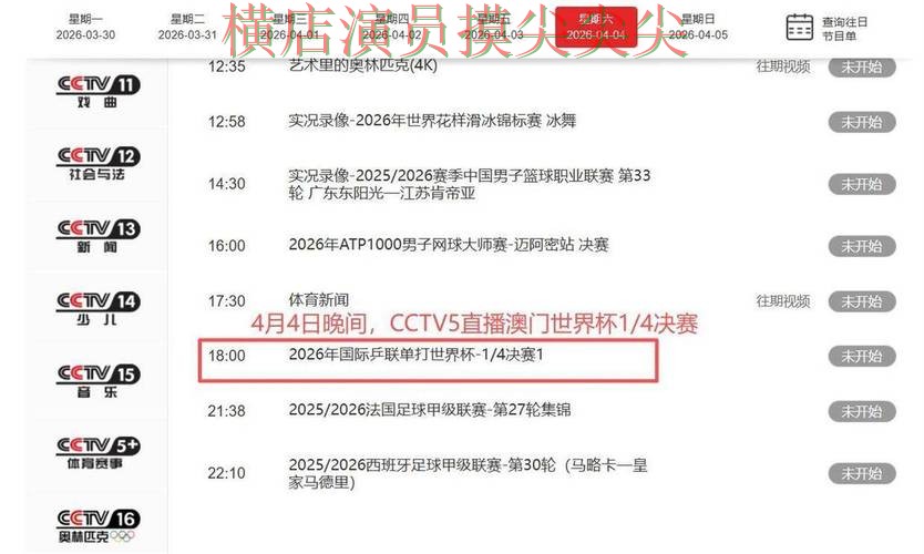 世界杯竞猜网站推荐合集：覆盖实时直播+直播与入口方式 - 世界杯实时直播